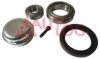 AUTLOG RS1125 Wheel Bearing Kit